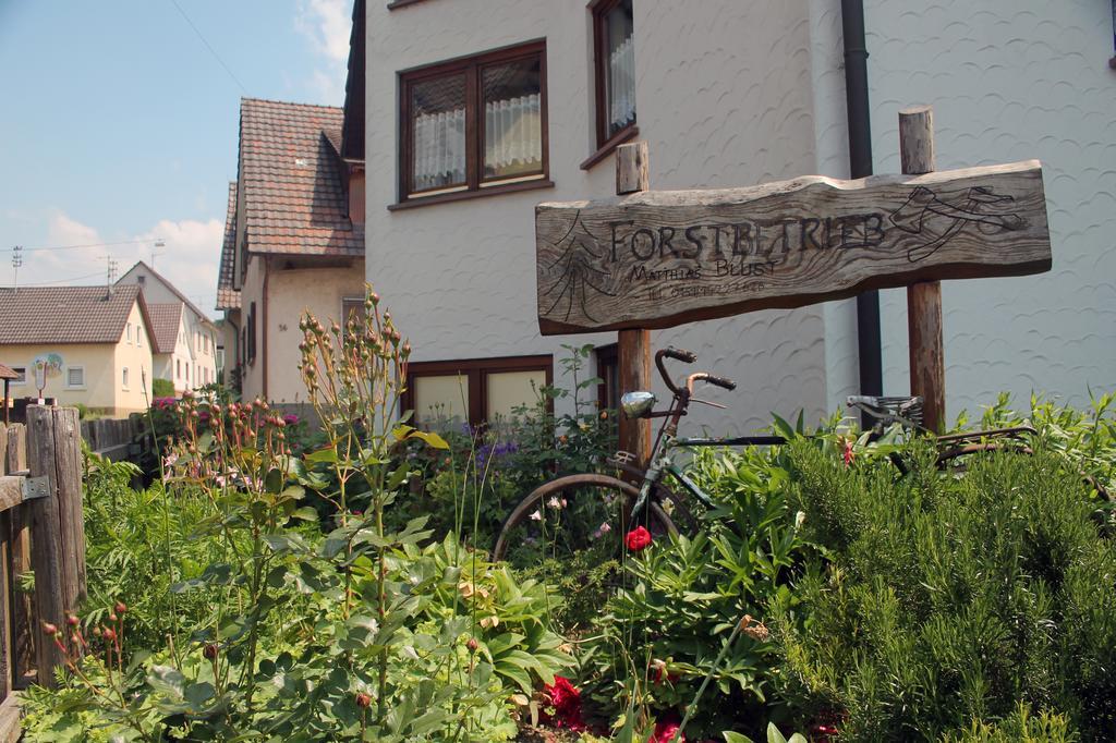 헤르볼츠하임 Haus Am Bergli 아파트 객실 사진