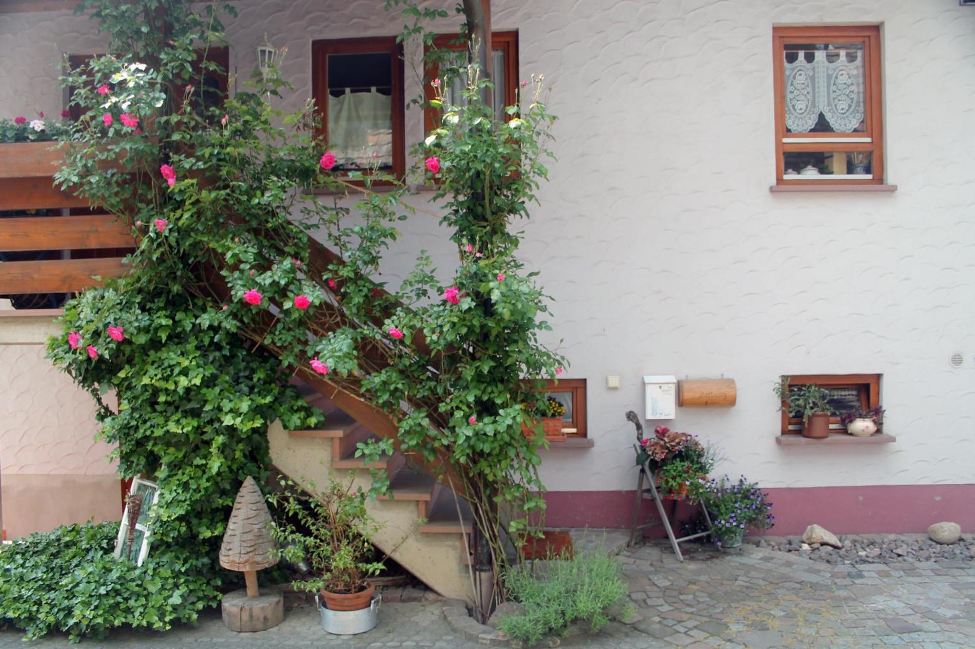 헤르볼츠하임 Haus Am Bergli 아파트 외부 사진